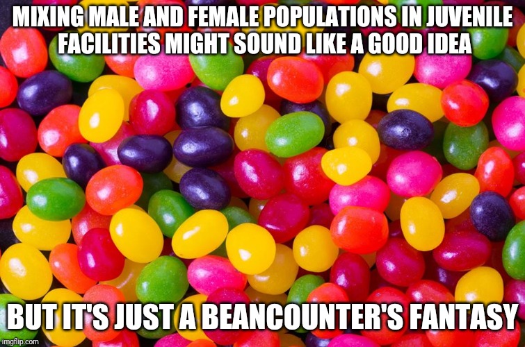 If it's such a hot idea, try it with adult prisons... | MIXING MALE AND FEMALE POPULATIONS IN JUVENILE FACILITIES MIGHT SOUND LIKE A GOOD IDEA; BUT IT'S JUST A BEANCOUNTER'S FANTASY | image tagged in jelly beans candy | made w/ Imgflip meme maker