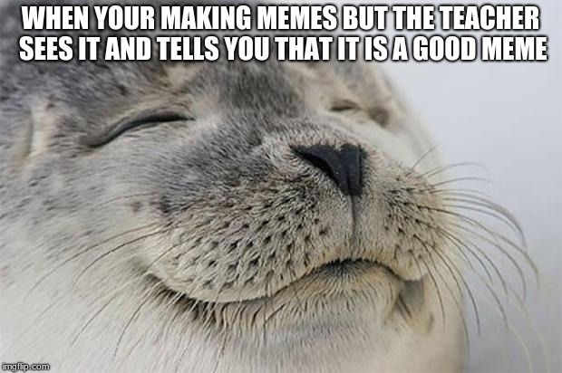 Satisfied Seal | WHEN YOUR MAKING MEMES BUT THE TEACHER SEES IT AND TELLS YOU THAT IT IS A GOOD MEME | image tagged in memes,satisfied seal | made w/ Imgflip meme maker