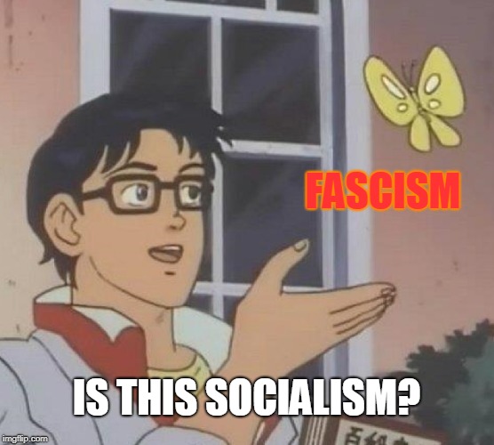Is This A Pigeon Meme | FASCISM IS THIS SOCIALISM? | image tagged in memes,is this a pigeon | made w/ Imgflip meme maker