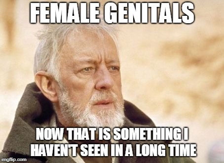 Now that's something I haven't seen in a long time | FEMALE GENITALS NOW THAT IS SOMETHING I HAVEN'T SEEN IN A LONG TIME | image tagged in now that's something i haven't seen in a long time | made w/ Imgflip meme maker