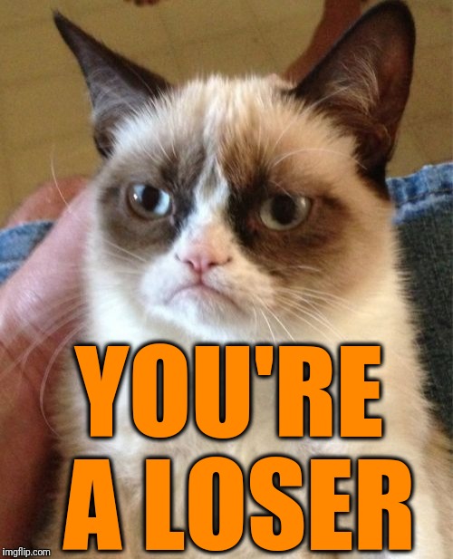 Grumpy Cat Meme | YOU'RE A LOSER | image tagged in memes,grumpy cat | made w/ Imgflip meme maker
