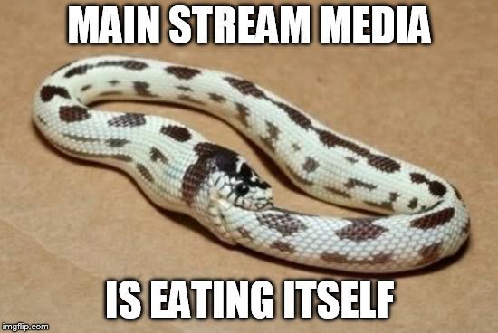 Snake Eating Itself | MAIN STREAM MEDIA; IS EATING ITSELF | image tagged in snake eating itself | made w/ Imgflip meme maker