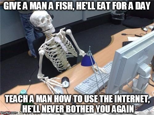 Skeleton Computer | GIVE A MAN A FISH, HE'LL EAT FOR A DAY; TEACH A MAN HOW TO USE THE INTERNET, HE'LL NEVER BOTHER YOU AGAIN | image tagged in skeleton computer | made w/ Imgflip meme maker