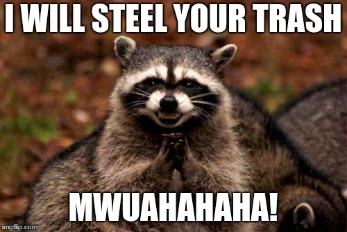 raccoon plots | I WILL STEEL YOUR TRASH MWUAHAHAHA! | image tagged in memes,evil plotting raccoon | made w/ Imgflip meme maker