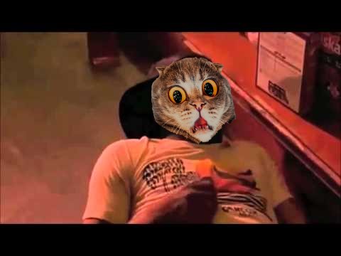 My Neck & My Back Cat Blank Meme Template