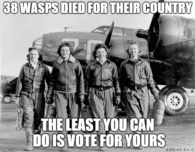 Women Pilots - WWII WASPs - 38 Died for their country | 38 WASPS DIED FOR THEIR COUNTRY; THE LEAST YOU CAN DO IS VOTE FOR YOURS | image tagged in wasps -wwii,vote,wasp,wwii,politics | made w/ Imgflip meme maker