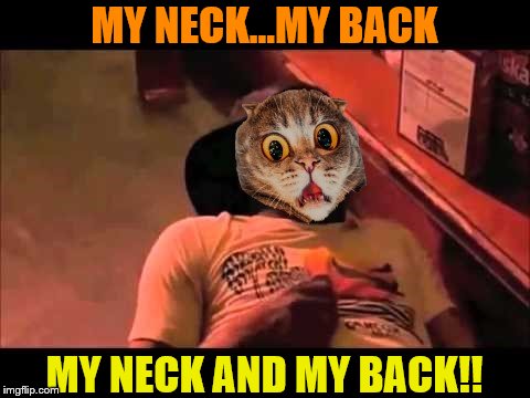 My Neck & My Back Cat | MY NECK...MY BACK MY NECK AND MY BACK!! | image tagged in my neck  my back cat | made w/ Imgflip meme maker