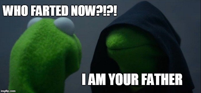 Evil Kermit | WHO FARTED NOW?!?! I AM YOUR FATHER | image tagged in memes,evil kermit,nsfw | made w/ Imgflip meme maker