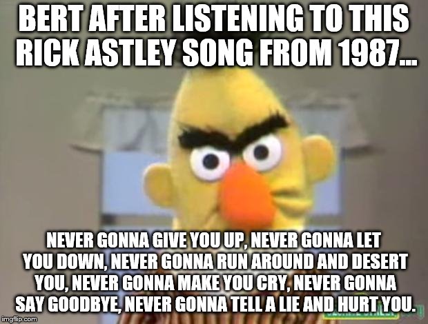 Sesame Street - Angry Bert | BERT AFTER LISTENING TO THIS RICK ASTLEY SONG FROM 1987... NEVER GONNA GIVE YOU UP, NEVER GONNA LET YOU DOWN, NEVER GONNA RUN AROUND AND DESERT YOU, NEVER GONNA MAKE YOU CRY, NEVER GONNA SAY GOODBYE, NEVER GONNA TELL A LIE AND HURT YOU. | image tagged in sesame street - angry bert | made w/ Imgflip meme maker