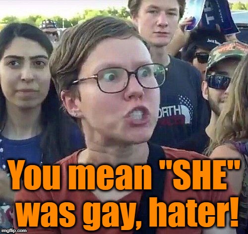 foggy | You mean "SHE" was gay, hater! | image tagged in triggered feminist | made w/ Imgflip meme maker