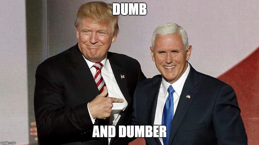trump and pence | DUMB; AND DUMBER | image tagged in trump and pence | made w/ Imgflip meme maker