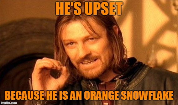 One Does Not Simply Meme | HE'S UPSET BECAUSE HE IS AN ORANGE SNOWFLAKE | image tagged in memes,one does not simply | made w/ Imgflip meme maker