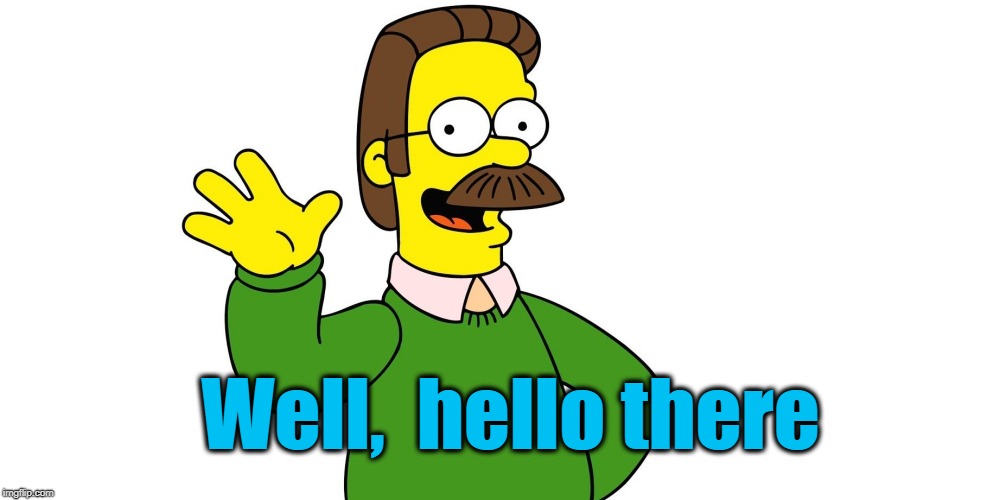 Ned Flanders Wave | Well,  hello there | image tagged in ned flanders wave | made w/ Imgflip meme maker