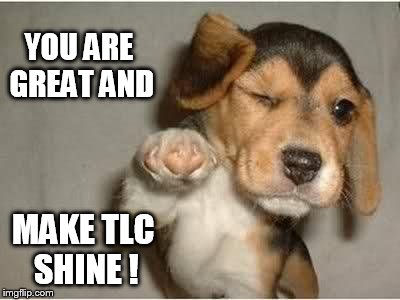 Winking puppy | YOU ARE GREAT AND; MAKE TLC SHINE ! | image tagged in winking puppy | made w/ Imgflip meme maker