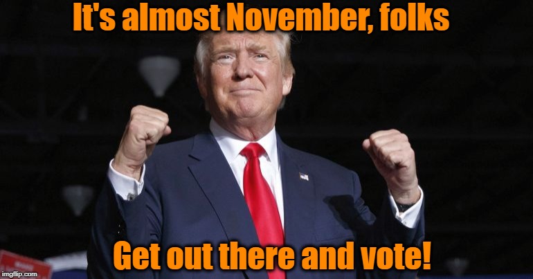 Stop complaining and start voting! | It's almost November, folks; Get out there and vote! | image tagged in trump campaigning,vote in november,keep the gop strong | made w/ Imgflip meme maker