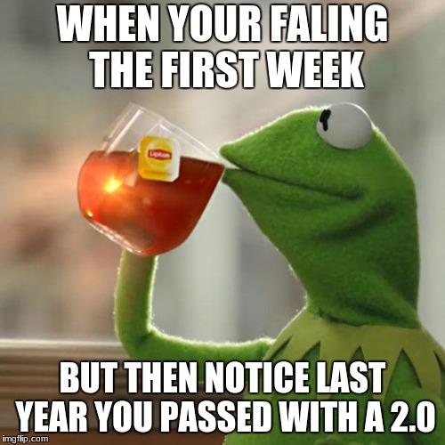 But That's None Of My Business | WHEN YOUR FALING THE FIRST WEEK; BUT THEN NOTICE LAST YEAR YOU PASSED WITH A 2.0 | image tagged in memes,but thats none of my business,kermit the frog | made w/ Imgflip meme maker