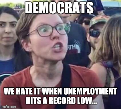 Angry Liberal | DEMOCRATS; WE HATE IT WHEN UNEMPLOYMENT HITS A RECORD LOW... | image tagged in angry liberal | made w/ Imgflip meme maker