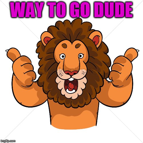 approval lion | WAY TO GO DUDE | image tagged in approval lion | made w/ Imgflip meme maker