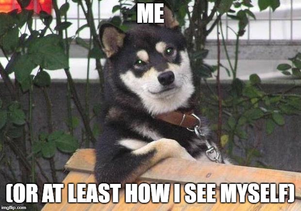 Cool dog | ME; (OR AT LEAST HOW I SEE MYSELF) | image tagged in cool dog | made w/ Imgflip meme maker
