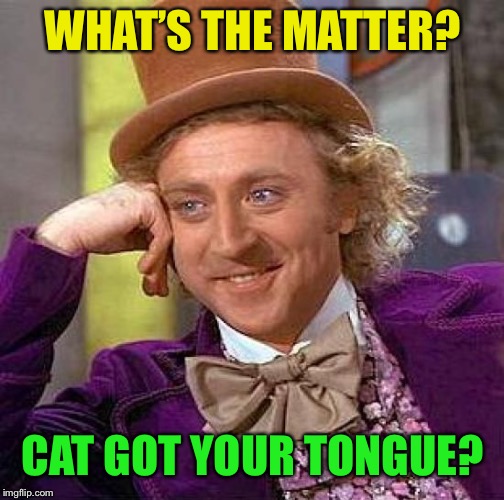 Creepy Condescending Wonka Meme | WHAT’S THE MATTER? CAT GOT YOUR TONGUE? | image tagged in memes,creepy condescending wonka | made w/ Imgflip meme maker