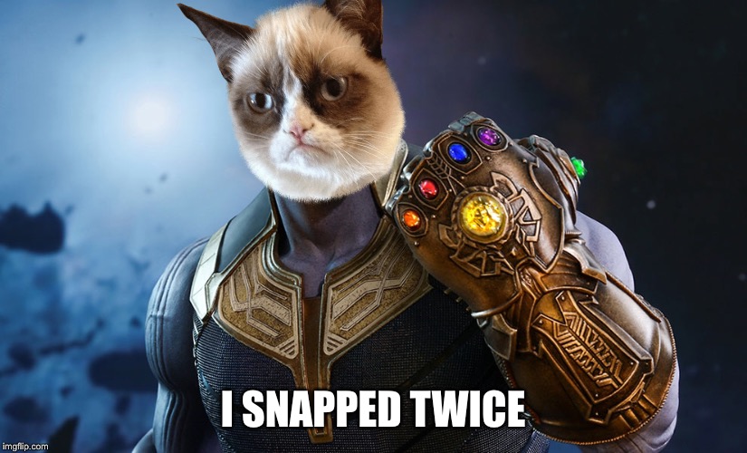 Stupid Thanos | I SNAPPED TWICE | image tagged in grumpy cat,thanos | made w/ Imgflip meme maker