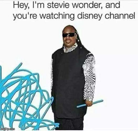 I didn't make this, but I laughed way too hard at it not to share | image tagged in memes,disney,stevie wonder,blind,funny | made w/ Imgflip meme maker