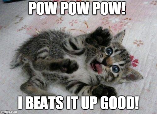 Cute Kitten | POW POW POW! I BEATS IT UP GOOD! | image tagged in cute kitten | made w/ Imgflip meme maker