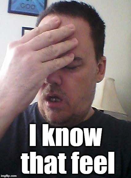 face palm | I know that feel | image tagged in face palm | made w/ Imgflip meme maker