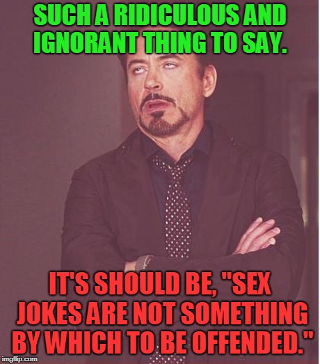 Face You Make Robert Downey Jr Meme | SUCH A RIDICULOUS AND IGNORANT THING TO SAY. IT'S SHOULD BE, "SEX JOKES ARE NOT SOMETHING BY WHICH TO BE OFFENDED." | image tagged in memes,face you make robert downey jr | made w/ Imgflip meme maker
