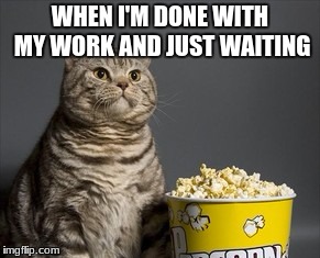 WHEN I'M DONE WITH MY WORK AND JUST WAITING | image tagged in cats | made w/ Imgflip meme maker