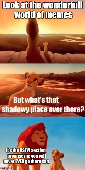 Simba Shadowy Place Meme | Look at the wonderfull world of memes; It's the NSFW section. promise me you will never EVER go there son. | image tagged in memes,simba shadowy place | made w/ Imgflip meme maker