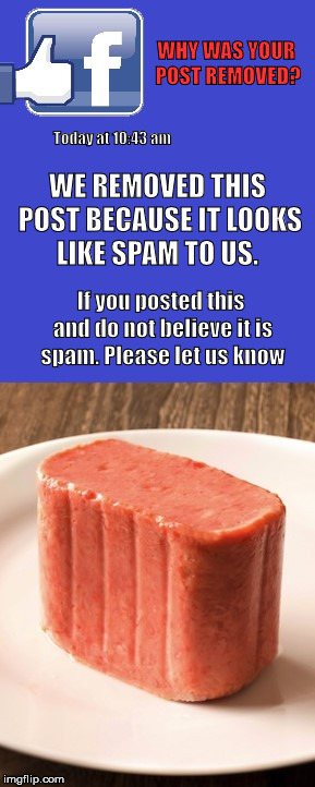 Boy these guys are sharp. | WHY WAS YOUR POST REMOVED? Today at 10:43 am; WE REMOVED THIS POST BECAUSE IT LOOKS LIKE SPAM TO US. If you posted this and do not believe it is spam. Please let us know | image tagged in memes,fb spam | made w/ Imgflip meme maker