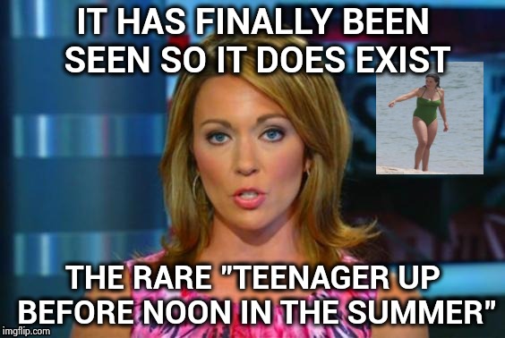 Real News Network | IT HAS FINALLY BEEN SEEN SO IT DOES EXIST THE RARE "TEENAGER UP BEFORE NOON IN THE SUMMER" | image tagged in real news network | made w/ Imgflip meme maker