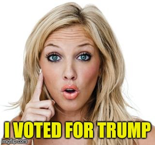 Dumb blonde | I VOTED FOR TRUMP | image tagged in dumb blonde | made w/ Imgflip meme maker