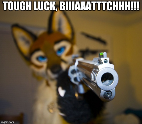 Furry with gun | TOUGH LUCK, BIIIAAATTTCHHH!!! | image tagged in furry with gun | made w/ Imgflip meme maker