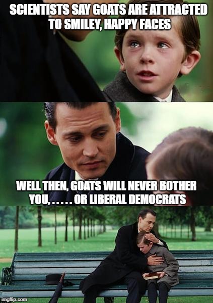 Finding Neverland | SCIENTISTS SAY GOATS ARE ATTRACTED TO SMILEY, HAPPY FACES; WELL THEN, GOATS WILL NEVER BOTHER YOU, . . . . . OR LIBERAL DEMOCRATS | image tagged in memes,finding neverland | made w/ Imgflip meme maker