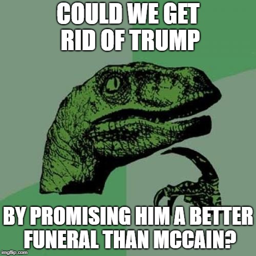 Philosoraptor | COULD WE GET RID OF TRUMP; BY PROMISING HIM A BETTER FUNERAL THAN MCCAIN? | image tagged in memes,philosoraptor | made w/ Imgflip meme maker