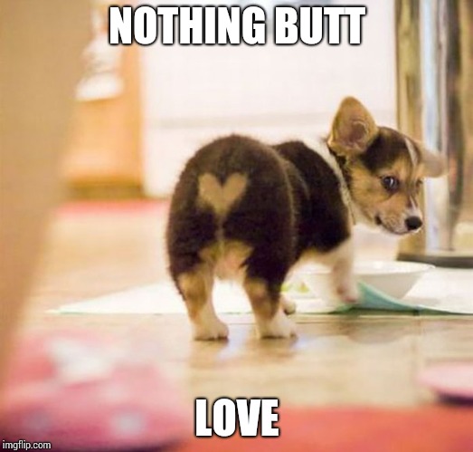 NOTHING BUTT LOVE | made w/ Imgflip meme maker