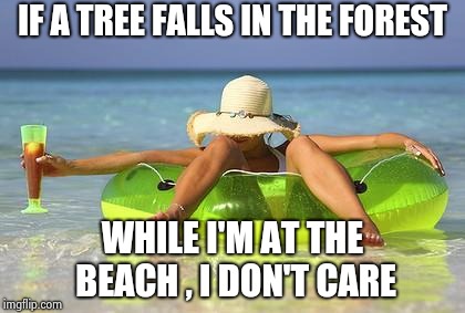 It's like 100° in New York today | IF A TREE FALLS IN THE FOREST WHILE I'M AT THE BEACH , I DON'T CARE | image tagged in beach babe,philosophy,this is me not caring,happy tree friends,gravity falls | made w/ Imgflip meme maker