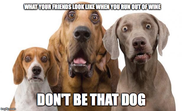 surprised dogs | WHAT YOUR FRIENDS LOOK LIKE WHEN YOU RUN OUT OF WINE; DON'T BE THAT DOG | image tagged in surprised dogs | made w/ Imgflip meme maker