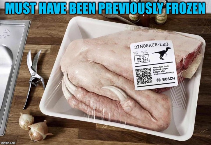 MUST HAVE BEEN PREVIOUSLY FROZEN | image tagged in dinosaur | made w/ Imgflip meme maker