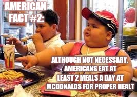 American Fact #2 : Their average diet | AMERICAN FACT #2:; ALTHOUGH NOT NECESSARY, AMERICANS EAT AT LEAST 2 MEALS A DAY AT MCDONALDS FOR PROPER HEALT | image tagged in america | made w/ Imgflip meme maker
