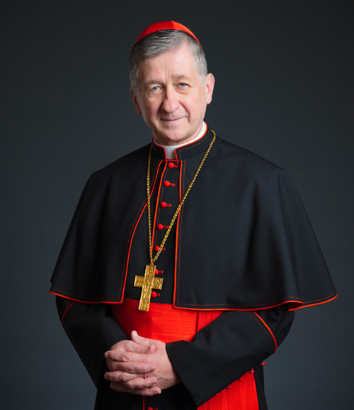 Cardinal Cupich Blank Meme Template