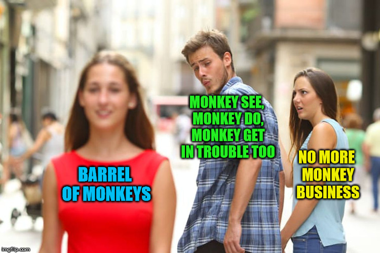 Can’t ‘Monkey This Up' | MONKEY SEE, MONKEY DO, MONKEY GET IN TROUBLE TOO; NO MORE MONKEY BUSINESS; BARREL OF MONKEYS | image tagged in memes,distracted boyfriend,meanwhile in florida,political correctness,liberal | made w/ Imgflip meme maker