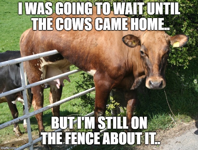Udderly hilarious.. |  I WAS GOING TO WAIT UNTIL THE COWS CAME HOME.. BUT I'M STILL ON THE FENCE ABOUT IT.. | image tagged in cow on the fence,puns,idioms,udderly hilarious | made w/ Imgflip meme maker