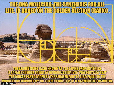 The Great Sphinx with the Golden Ratio. | image tagged in the great sphinx,the golden ratio | made w/ Imgflip meme maker