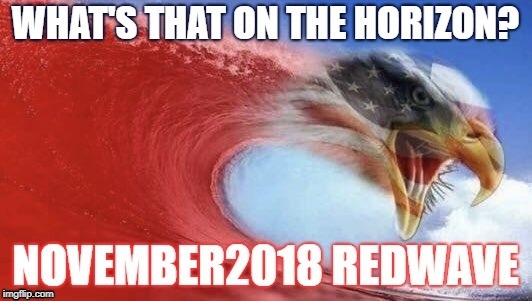 redwave  | image tagged in president trump | made w/ Imgflip meme maker