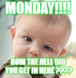 monday | image tagged in mondays | made w/ Imgflip meme maker