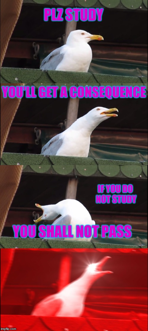 YOU SHALL NOT PASS | PLZ STUDY; YOU'LL GET A CONSEQUENCE; IF YOU DO NOT STUDY; YOU SHALL NOT PASS | image tagged in memes,inhaling seagull | made w/ Imgflip meme maker