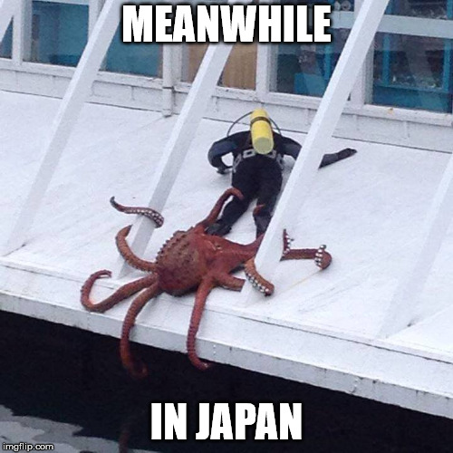 octopus | MEANWHILE; IN JAPAN | image tagged in octopus | made w/ Imgflip meme maker